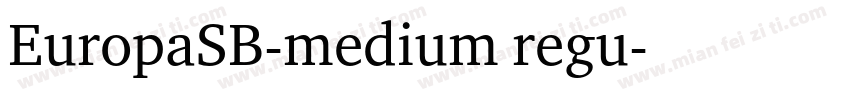 EuropaSB-medium regu字体转换